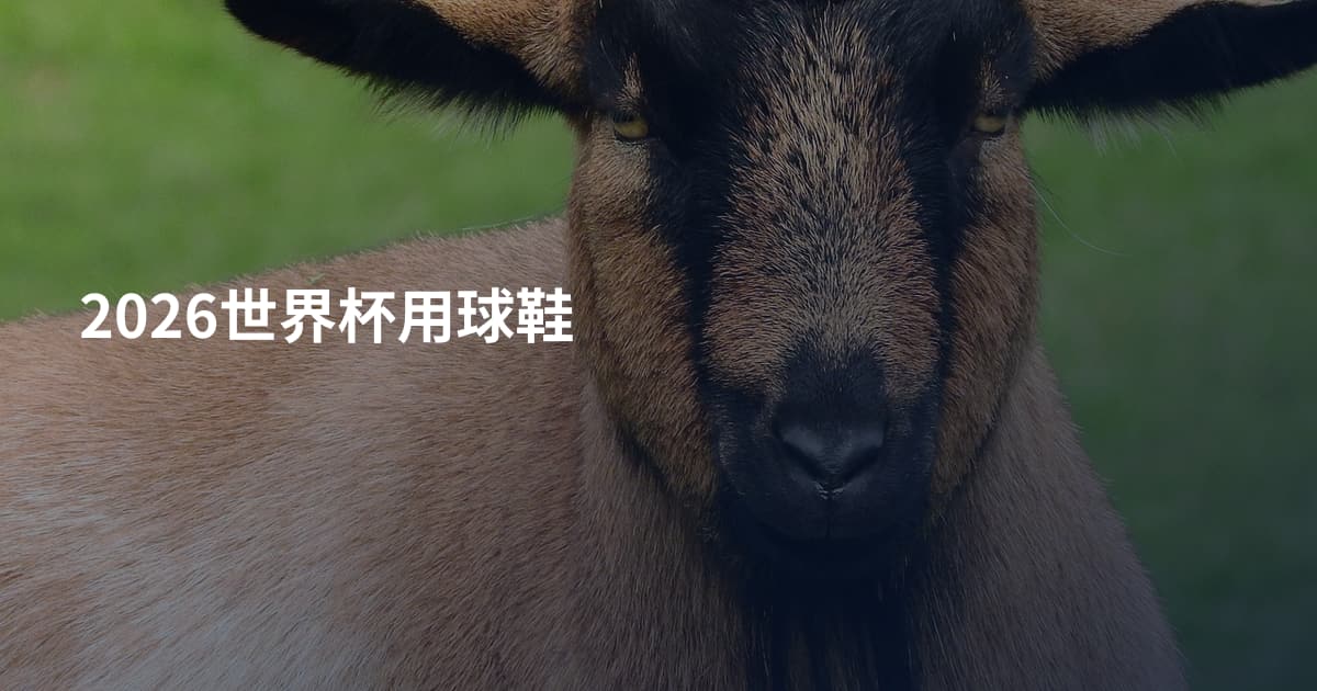 2026世界杯用球鞋