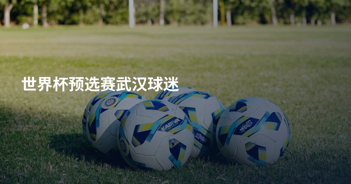 世界杯预选赛武汉球迷