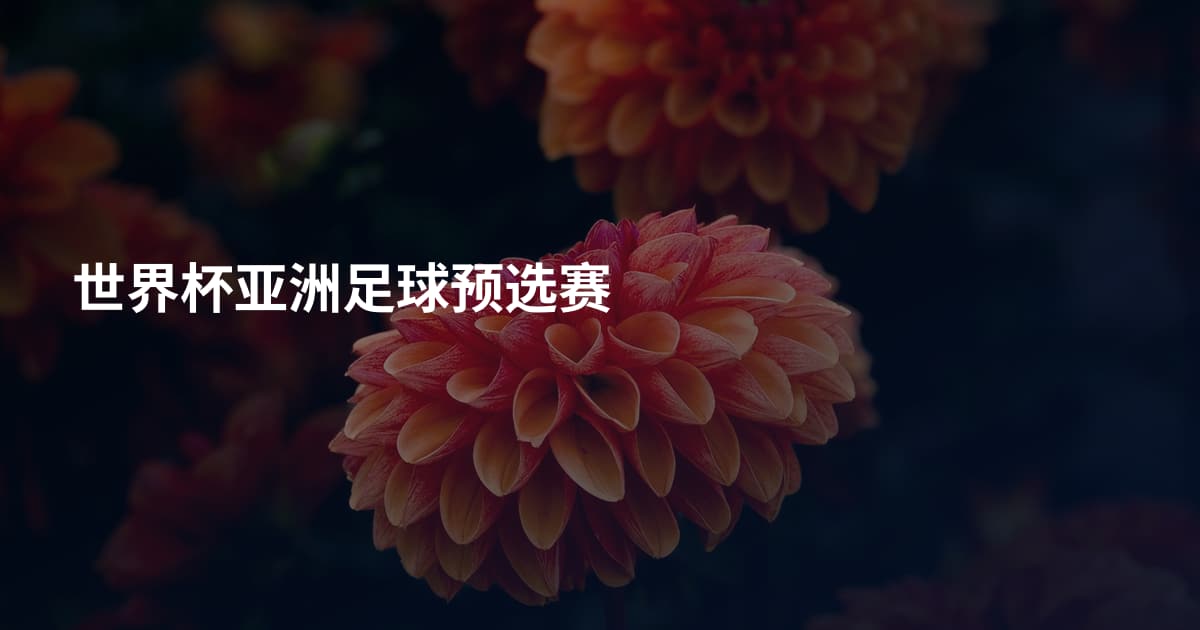 世界杯亚洲足球预选赛