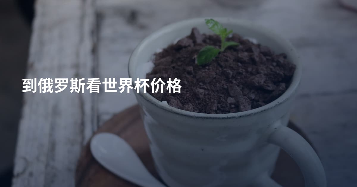 到俄罗斯看世界杯价格