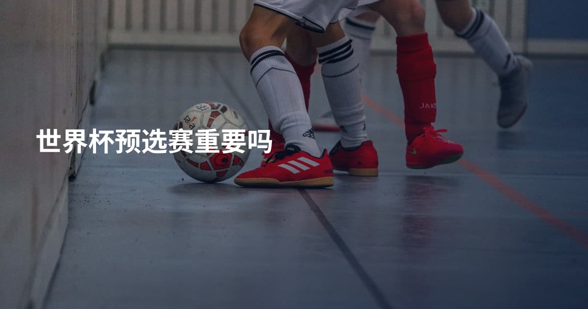 世界杯预选赛重要吗