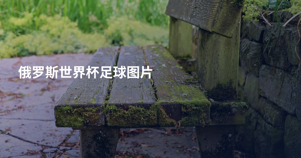 俄罗斯世界杯足球图片