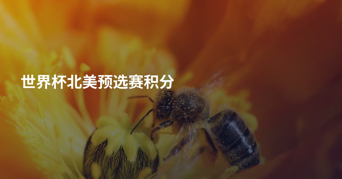 世界杯北美预选赛积分