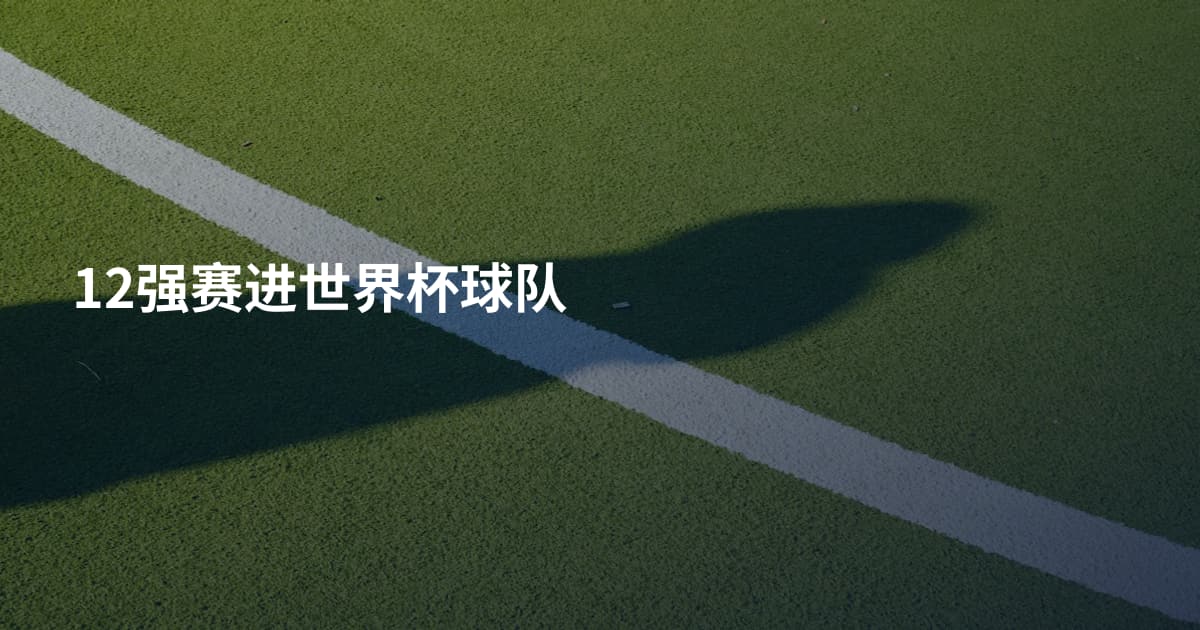 12强赛进世界杯球队