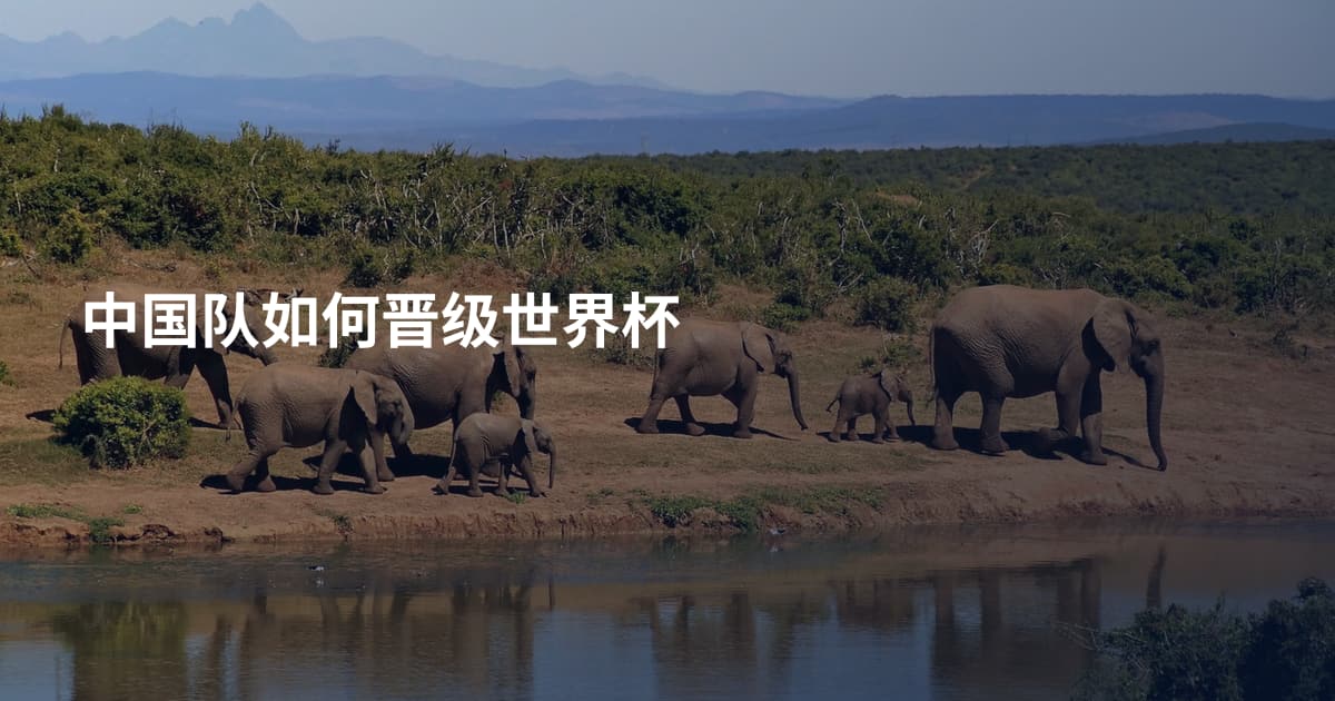 中国队如何晋级世界杯