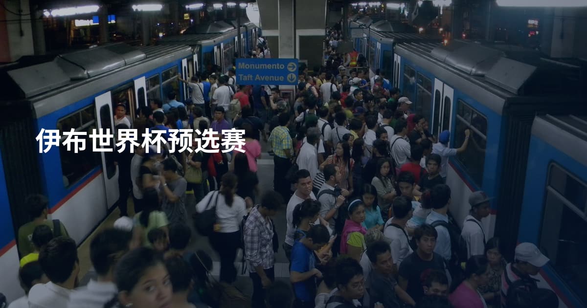 伊布世界杯预选赛