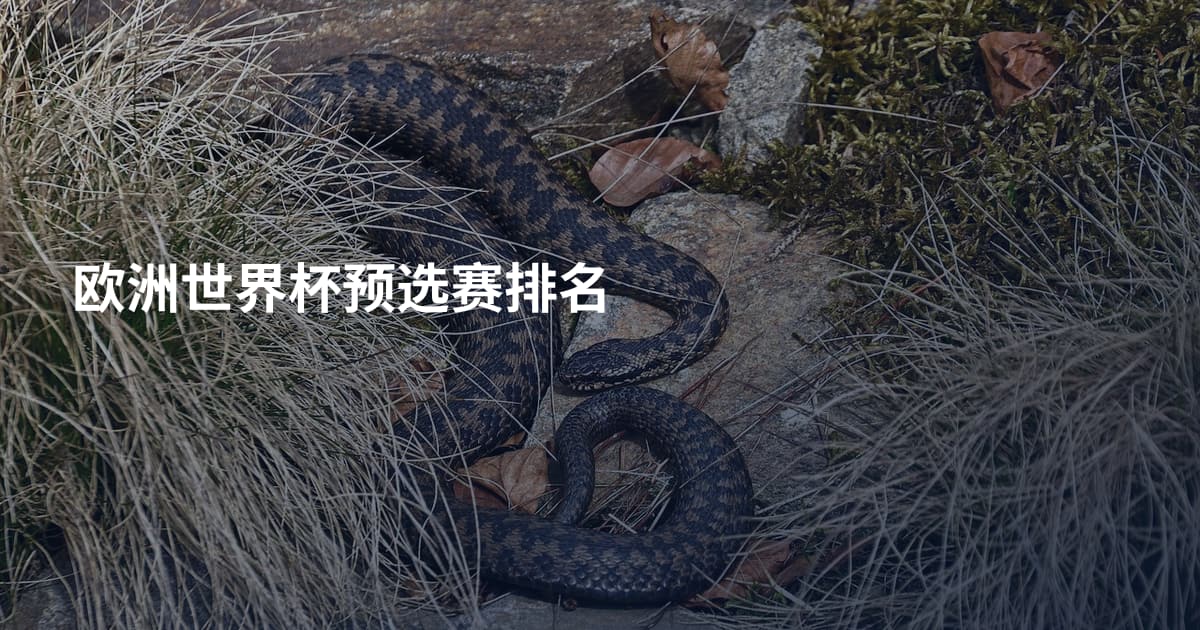 欧洲世界杯预选赛排名