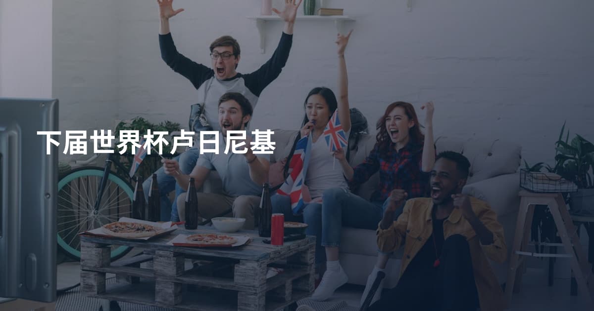 下届世界杯卢日尼基