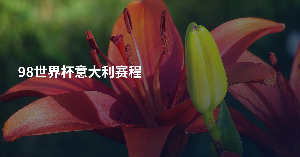 98世界杯意大利赛程