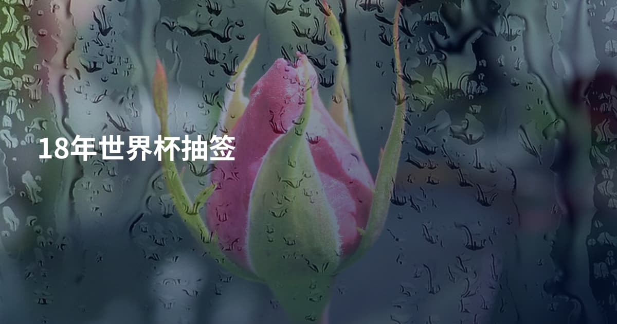 18年世界杯抽签