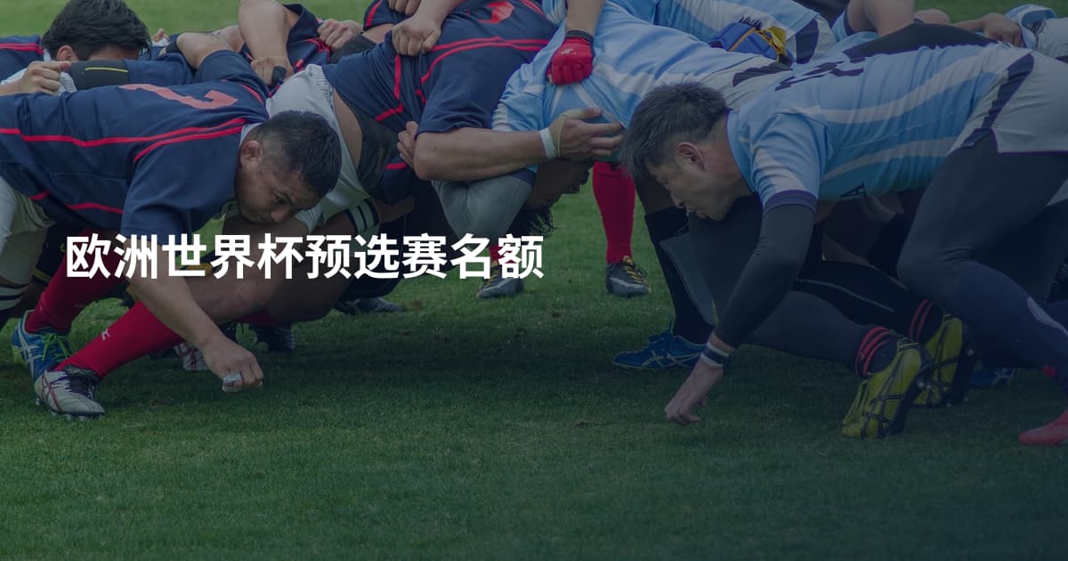 欧洲世界杯预选赛名额