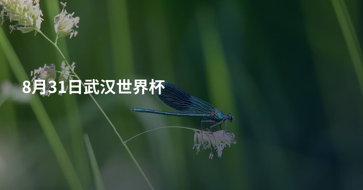 8月31日武汉世界杯