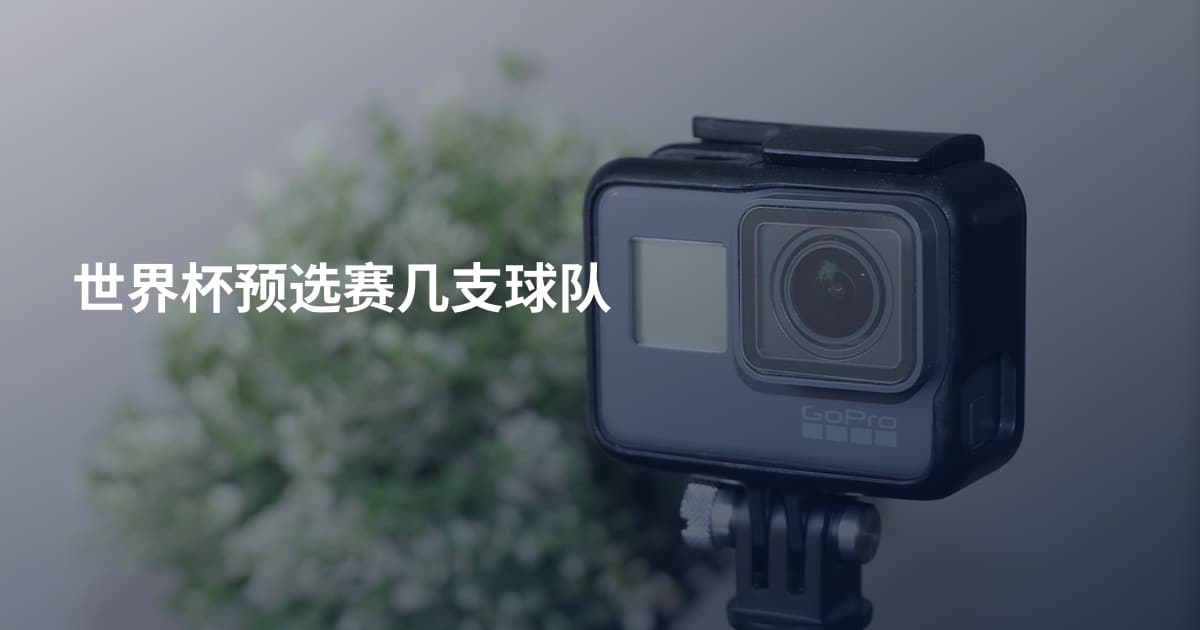 世界杯预选赛几支球队