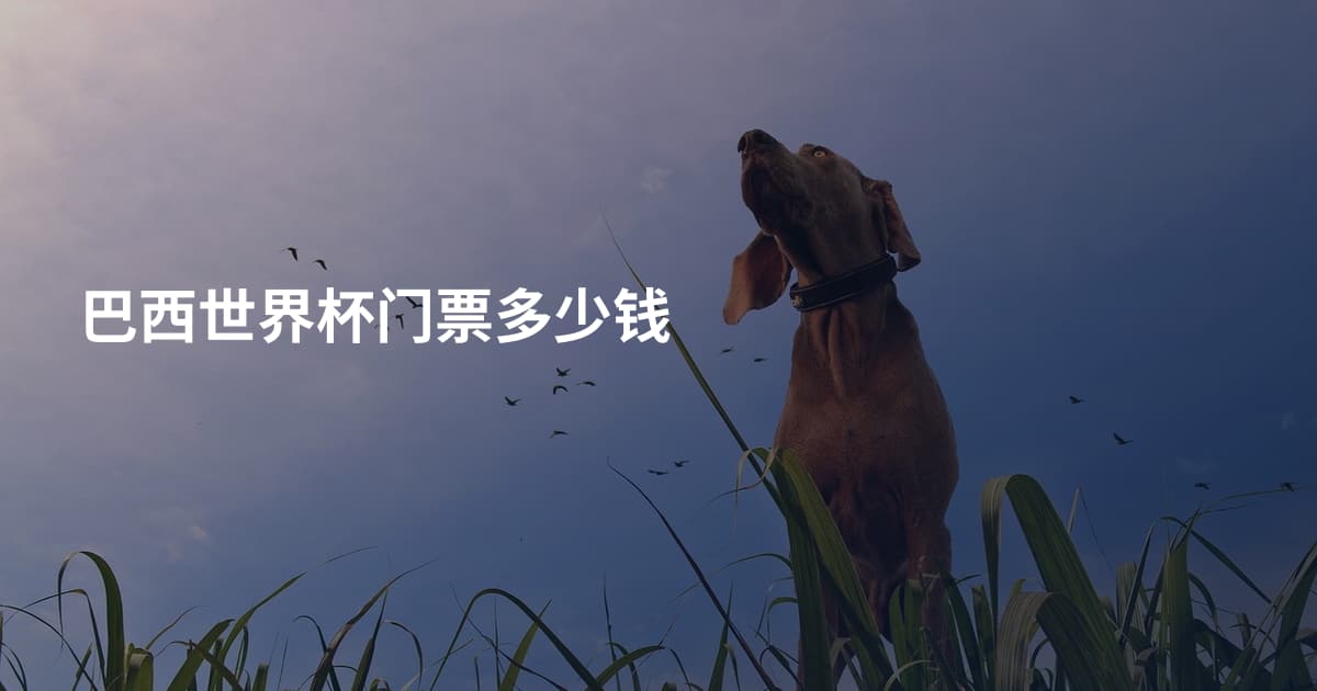 巴西世界杯门票多少钱
