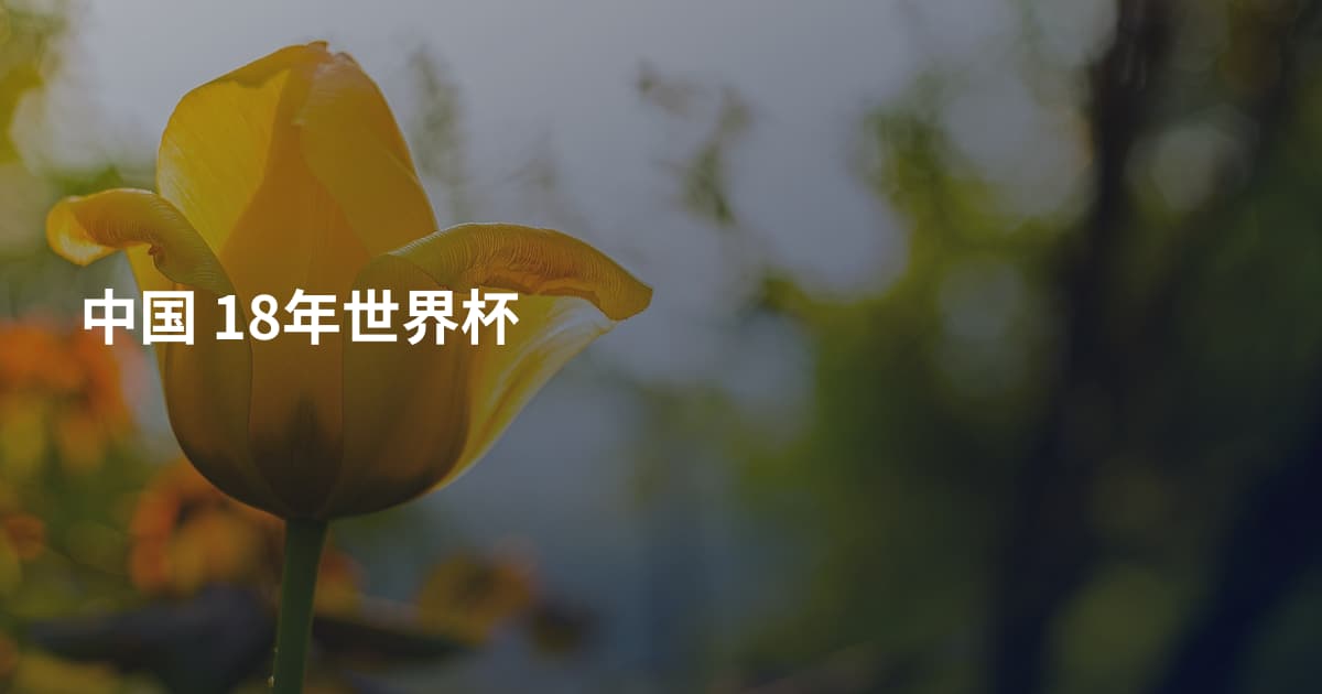 中国 18年世界杯