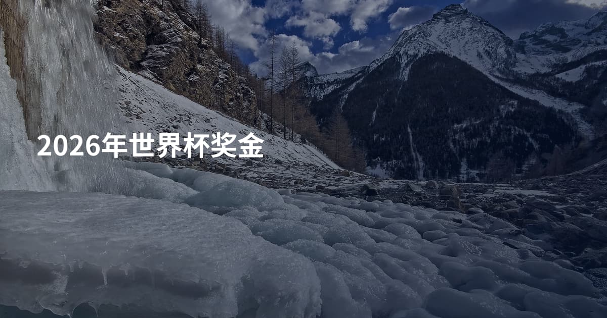2026年世界杯奖金