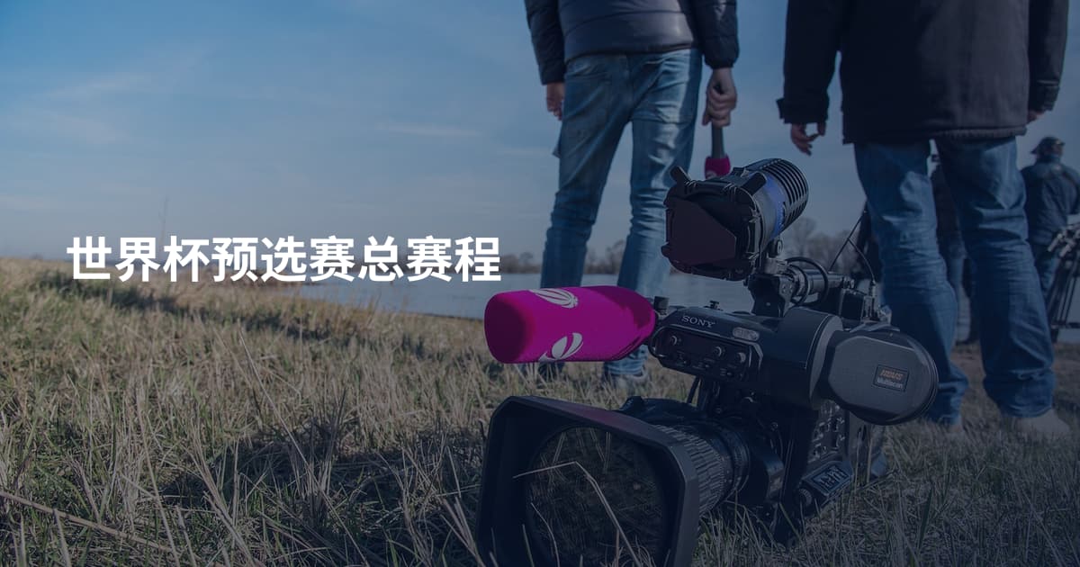 世界杯预选赛总赛程