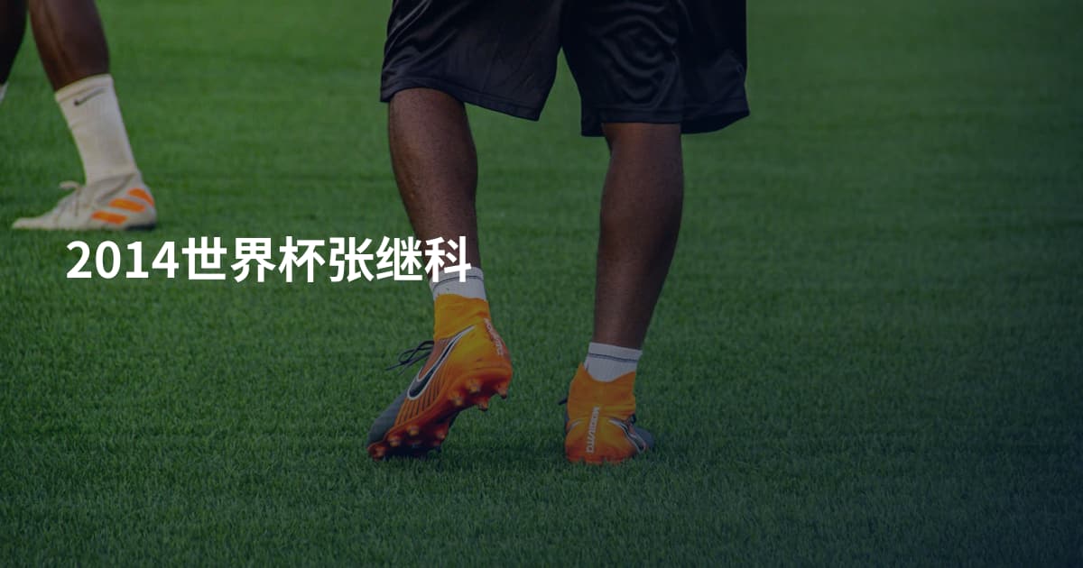 2014世界杯张继科