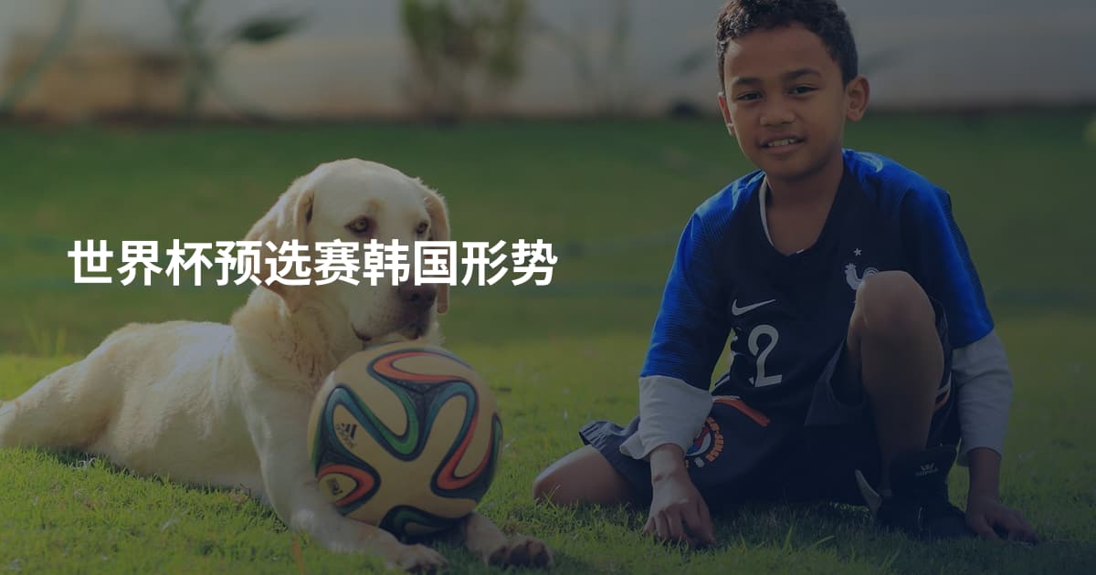 世界杯预选赛韩国形势