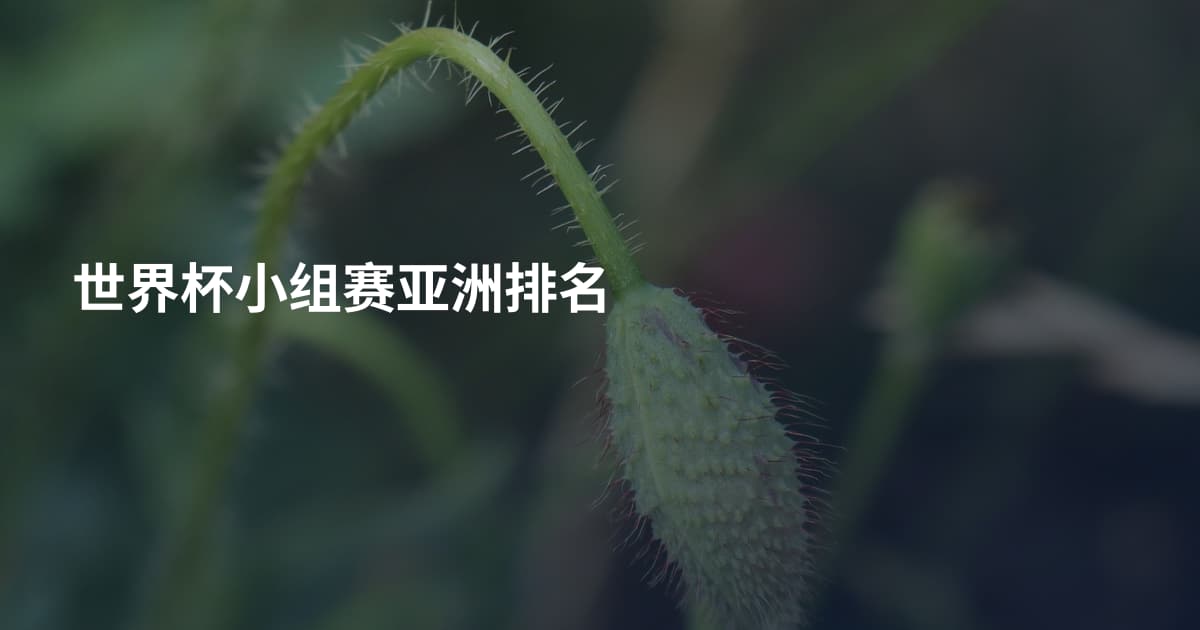 世界杯小组赛亚洲排名