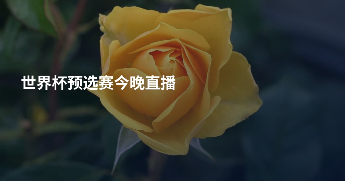 世界杯预选赛今晚直播