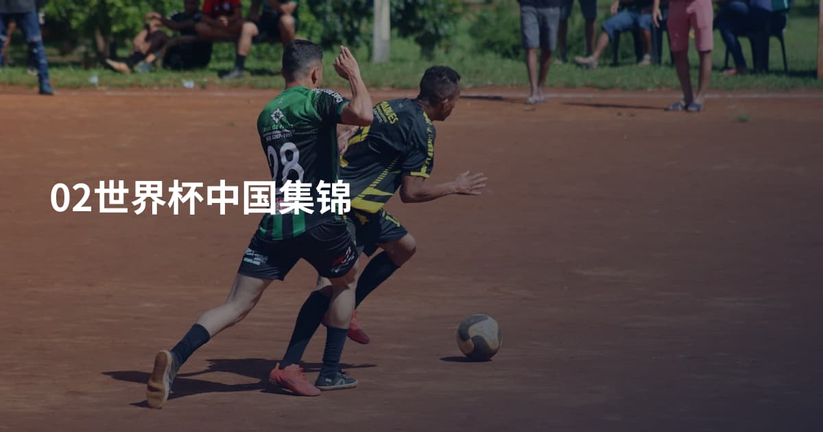 02世界杯中国集锦