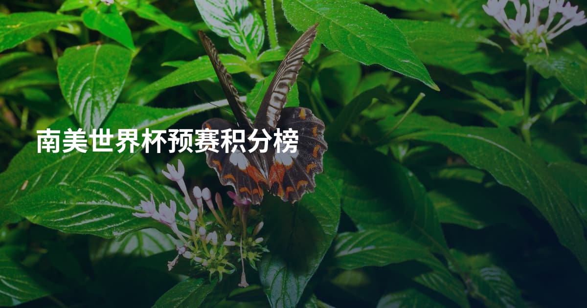 南美世界杯预赛积分榜