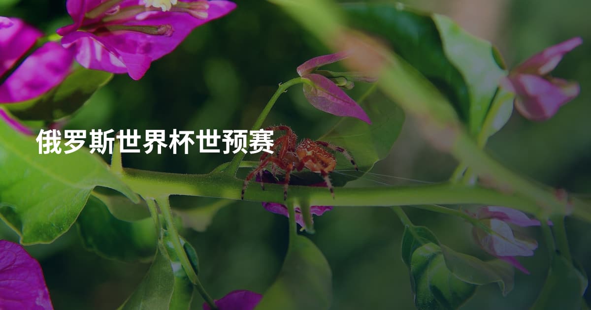 俄罗斯世界杯世预赛