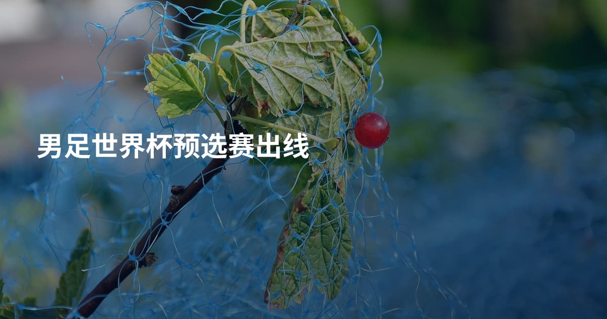 男足世界杯预选赛出线