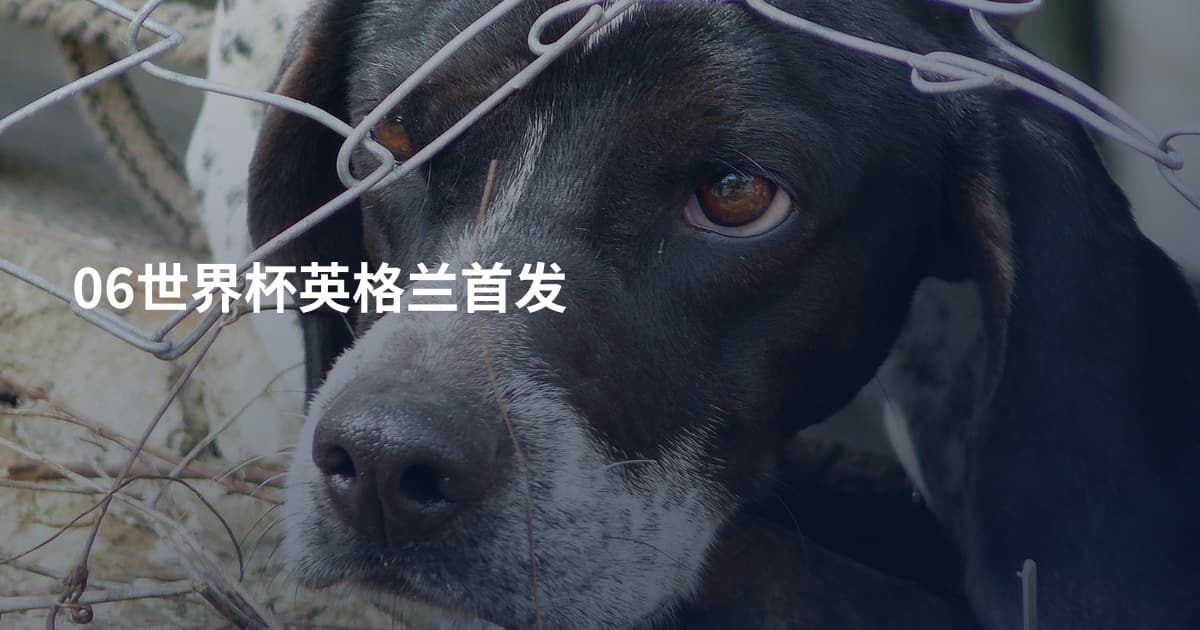 06世界杯英格兰首发