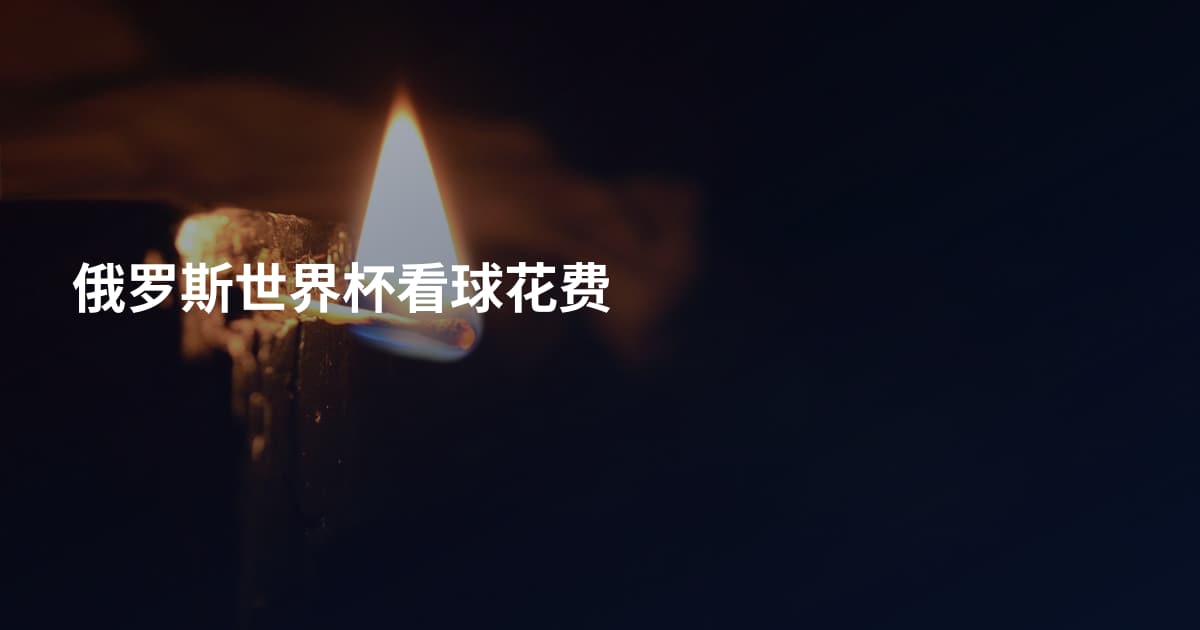 俄罗斯世界杯看球花费
