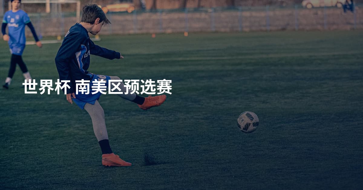 世界杯 南美区预选赛