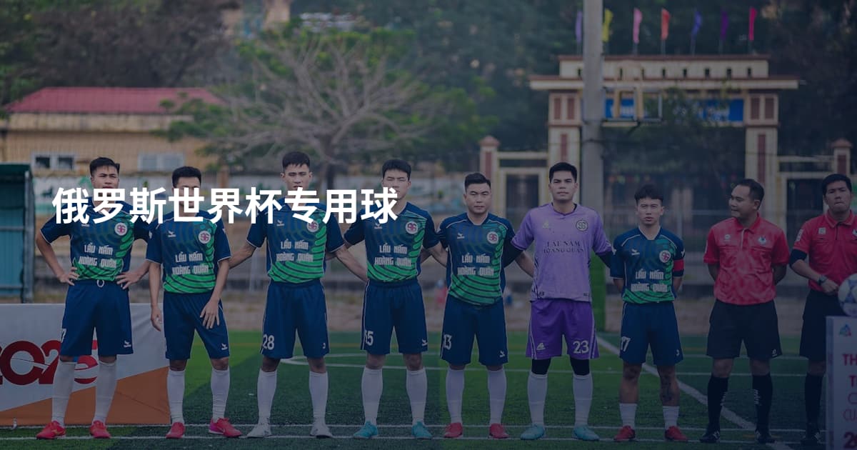 俄罗斯世界杯专用球