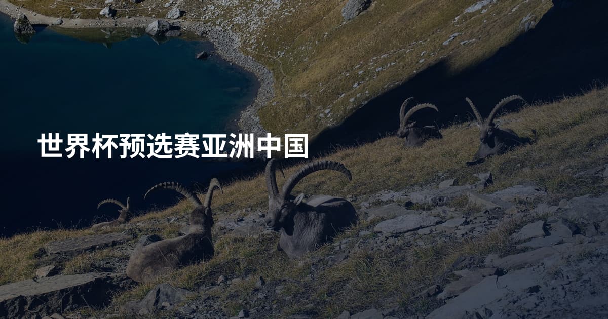 世界杯预选赛亚洲中国