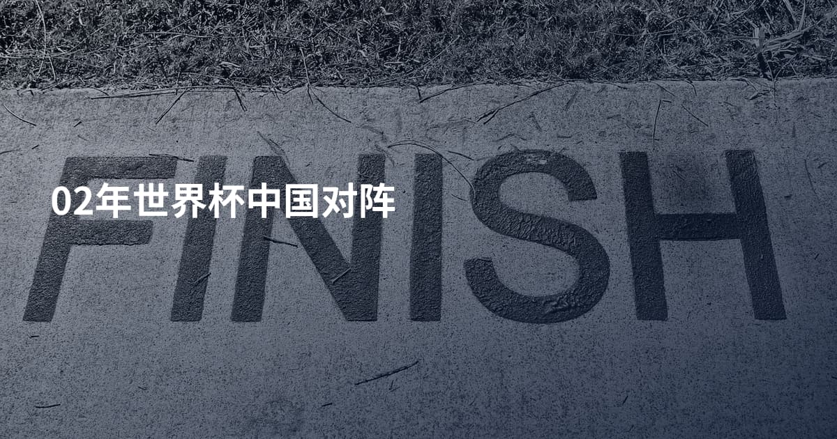 02年世界杯中国对阵