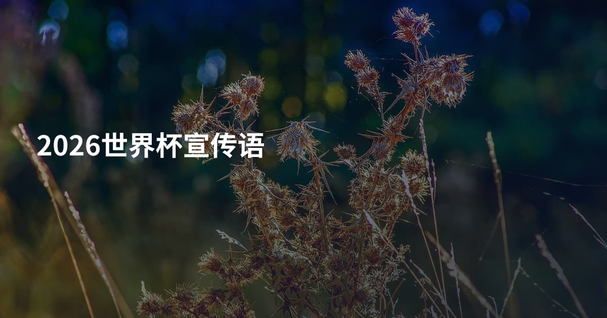 2026世界杯宣传语
