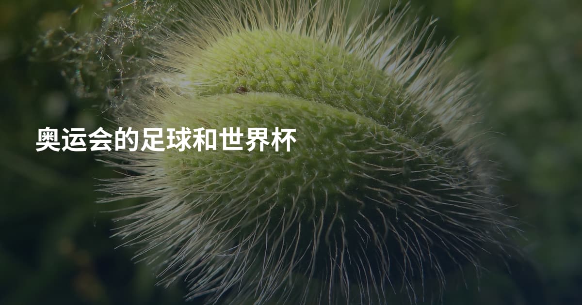 奥运会的足球和世界杯