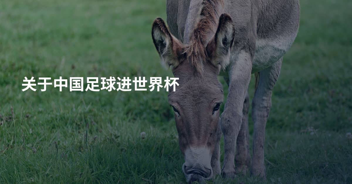 关于中国足球进世界杯
