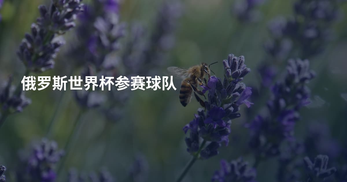 俄罗斯世界杯参赛球队