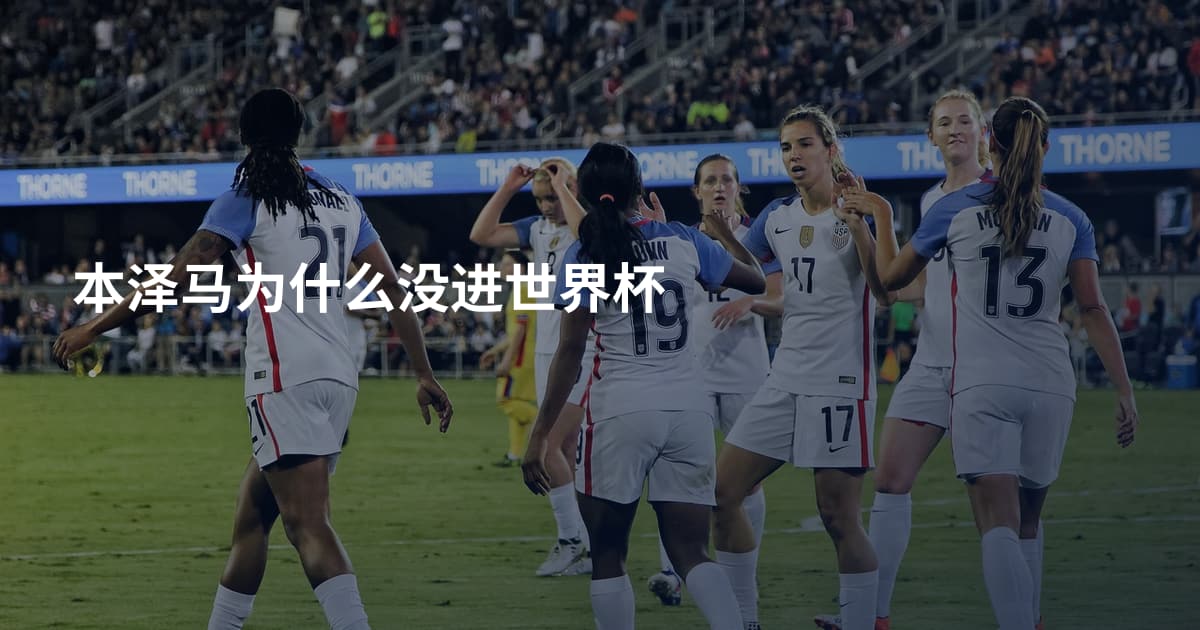 本泽马为什么没进世界杯