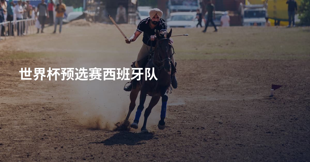 世界杯预选赛西班牙队