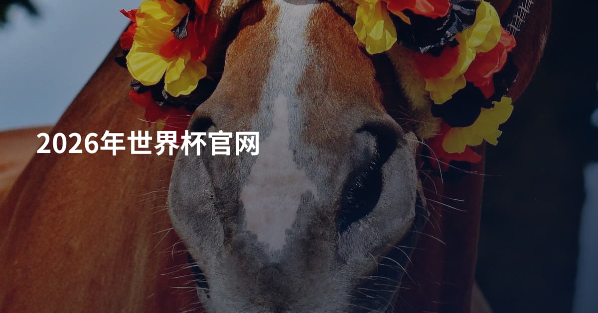 2026年世界杯官网