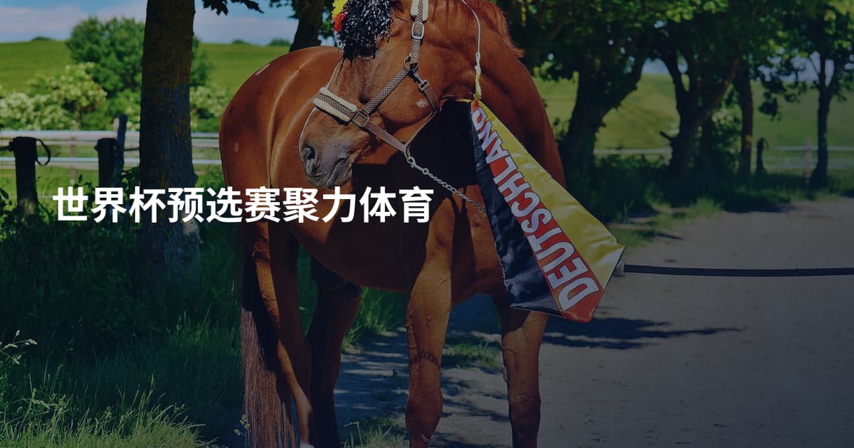 世界杯预选赛聚力体育