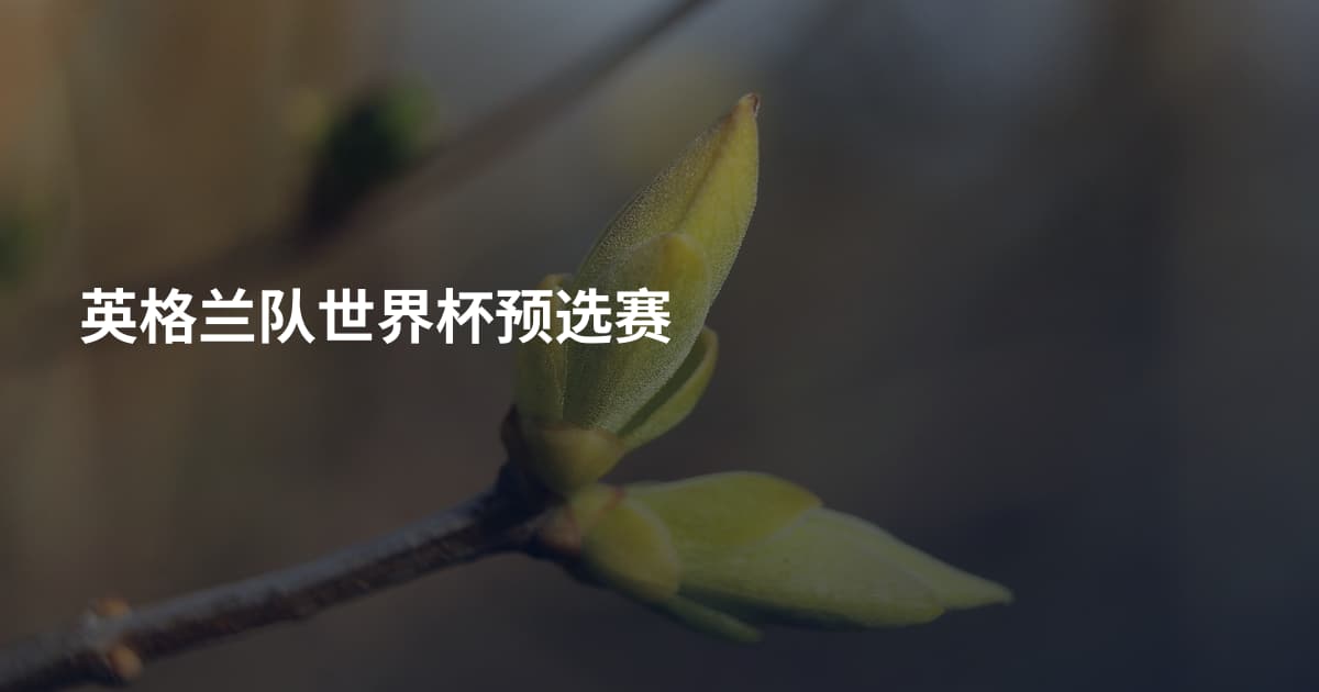 英格兰队世界杯预选赛