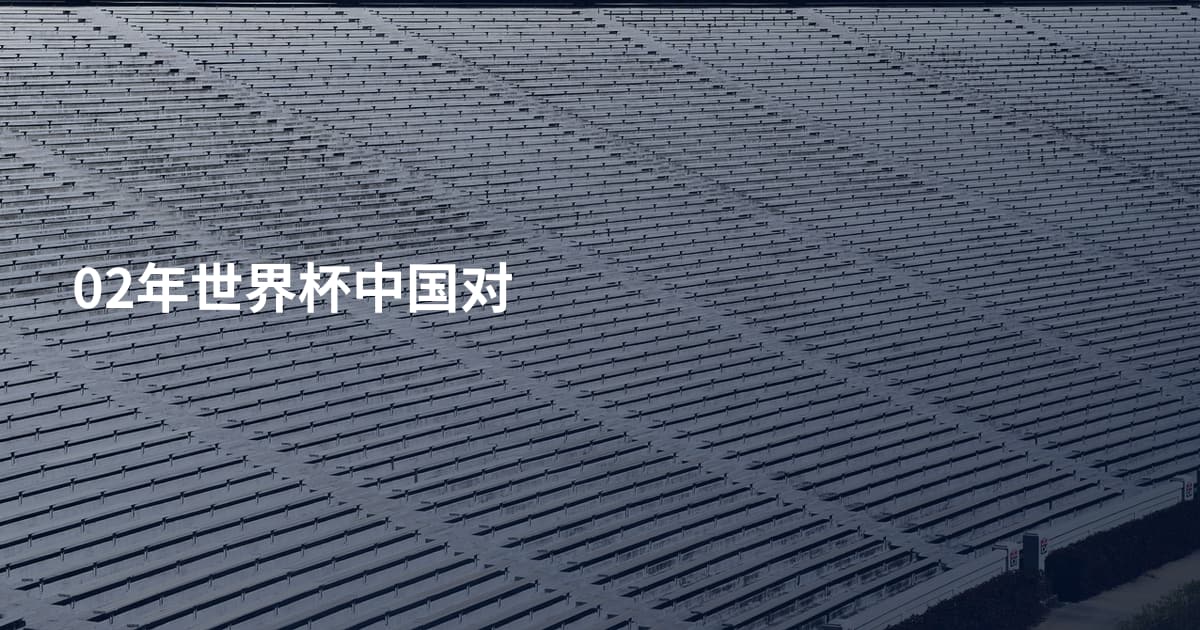 02年世界杯中国对
