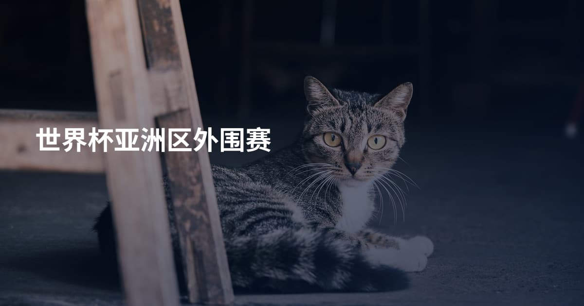 世界杯亚洲区外围赛