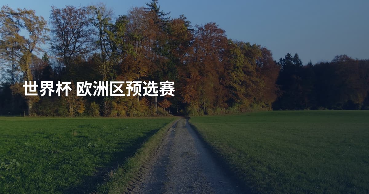 世界杯 欧洲区预选赛