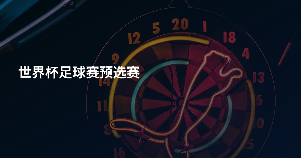 世界杯足球赛预选赛