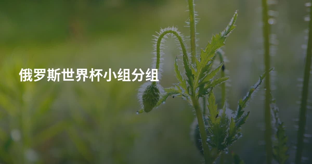 俄罗斯世界杯小组分组