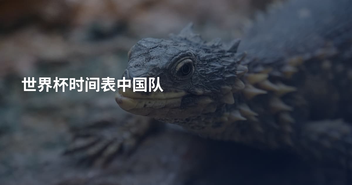 世界杯时间表中国队